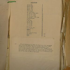 resized_P1990237.jpg