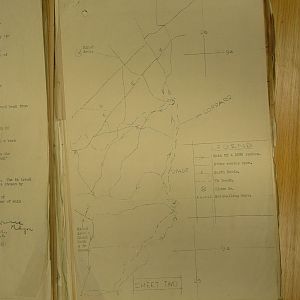 resized_P2250955.jpg